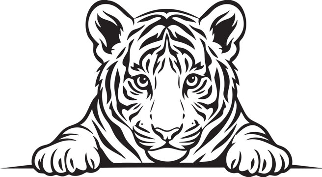 vector illustration of a tiger