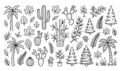 Hand drawn black line tree doodle icon set with palm cactus bamboo pine and maple nature elements vector illustration © MdSakib