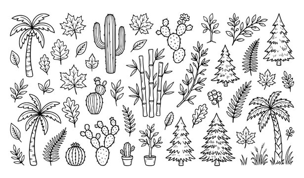 Hand drawn black line tree doodle icon set with palm cactus bamboo pine and maple nature elements vector illustration