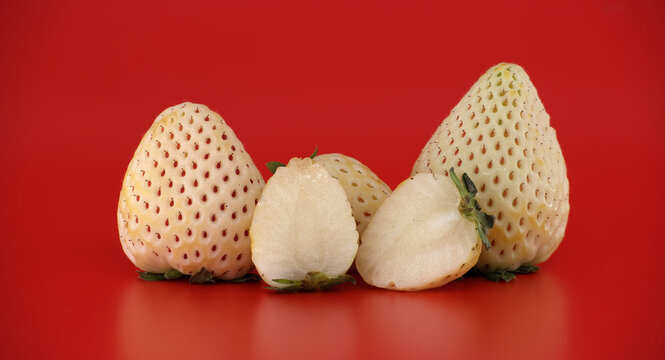 Unique pineberry strawberries, a rare white variety, displayed on a vibrant red background