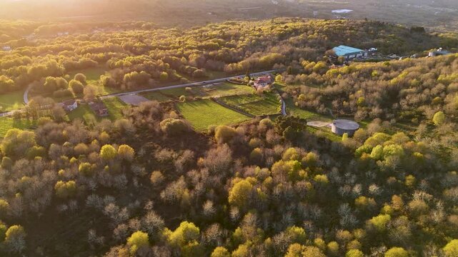 Aerial view of lush green forests and rolling hills with scattered houses and a road during golden hour in Galicia, Spain.