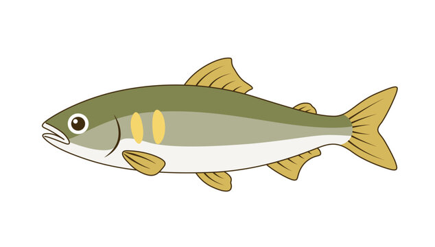 鮎のシンプルフラットイラスト｜夏の川魚素材