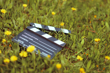 Fototapeta premium Film Slate Board in a Yellow Dandelions Garden. A professional cinema clapperboard symbolizing creativity in nature