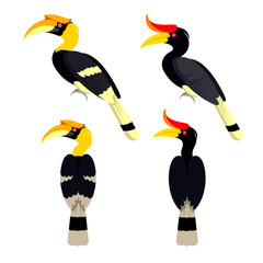 Hornbill birds illustration vector set. © Kas Tan