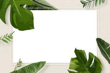 Leaf frame PNG clipart border, green Monstera plant transparent background © Rawpixel.com