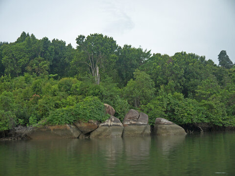 Sebung river with mangroves and big boulders on Bintan island, Indonesia