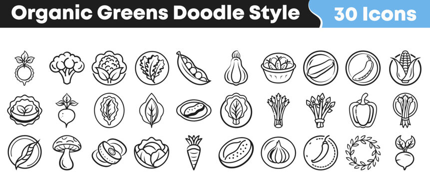 Collection of hand drawn organic vegetable icons in doodle style