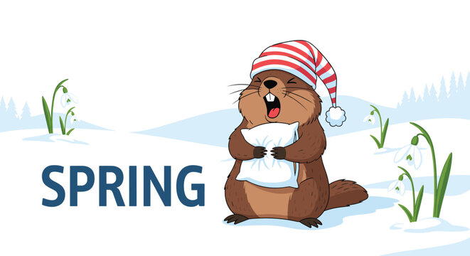 Cute groundhog wearing a striped nightcap and holding a pillow wakes up from hibernation to welcome the arrival of the spring season.