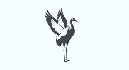 Fototapeta premium Large Black and White Bird Standing.