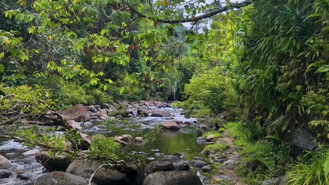 Scenic view Wainibau Waterfall on the Lavena Coastal Walk within Taveuni&rsquo;s Bouma National Heritage Park in Fiji