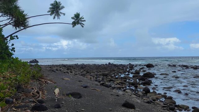 Scenic coastal landscape and ocean view of the Lavena Coastal Walk within Bouma National Heritage Park in Taveuni, Fiji
