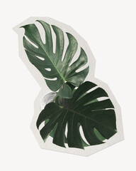 Split leaf philodendron paper cut isolated design © Rawpixel.com