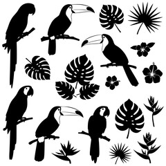 Naklejka premium Silhouettes of Tropical Birds Parrots Toucans and Exotic Jungle Leaves