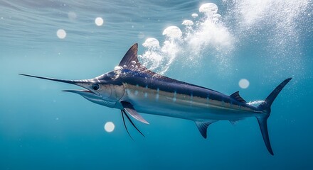 Naklejka premium Marlin fish swimming underwater ocean.