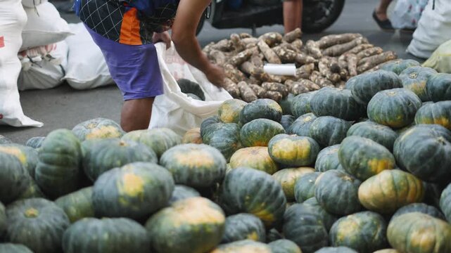 Filipino Customer Buying Fresh Kabocha Squash and Placing It in Sack at Street Market