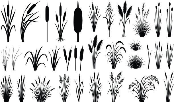 Collection of cattail and grass silhouettes on a white background