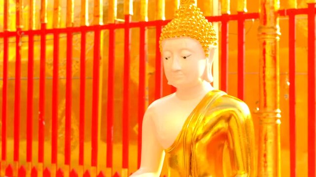 wat phra that doi suthep : Golden Buddha Doi Suthep pagoda statue gleams softly against vibrant red fence, chiangmai thailand