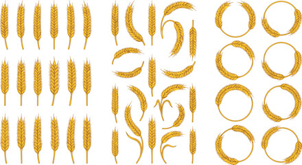 Wheat ears and golden cereal stalks vector icons set featuring agricultural rye barley spikes grain wreaths organic bread frames and farming harvest elements collection © MDSaiful