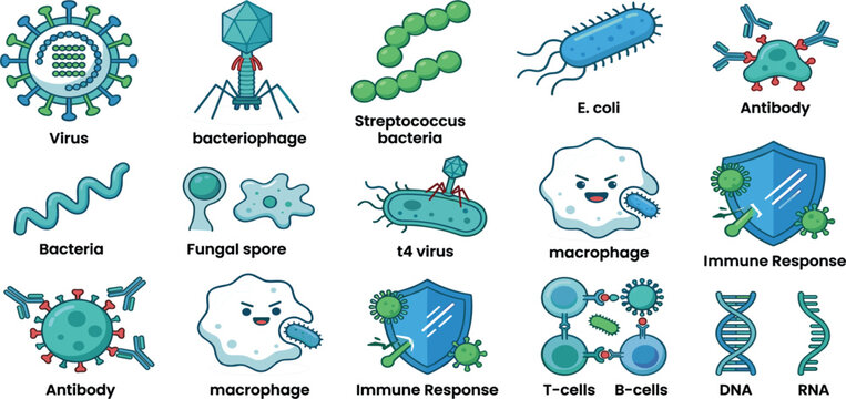 Microbiology and Immune System Illustration Set Featuring Viruses, Bacteria, Antibodies, Macrophages, T Cells, DNA, RNA, and Healthcare Science Concepts