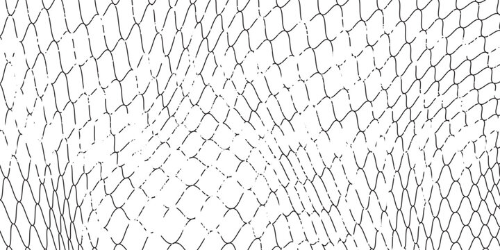 Black snake skin pattern isolated on white background eps 10
