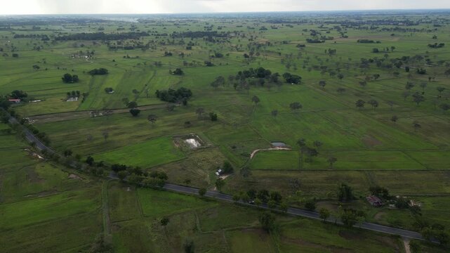 The rice-growing landscapes of northeastern Thailand are uniquely characterized by vast open field scattered with large trees. These areas serve as one of the country's most important rice-producing.