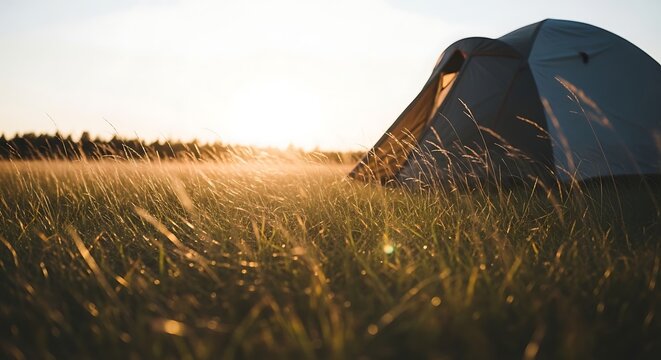 Camping tent in a grassy field.