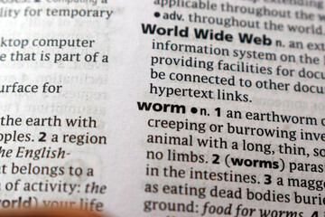 Fototapeta premium Detail Of English Dictionary Page And Word Pronunciation Of - worm