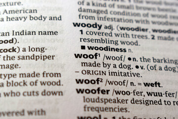 Fototapeta premium Detail Of English Dictionary Page And Word Pronunciation Of - woof