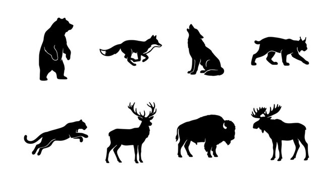 Collection of wild animal silhouettes including bear, fox, wolf, lynx, jaguar, deer, bison, and moose Vector
