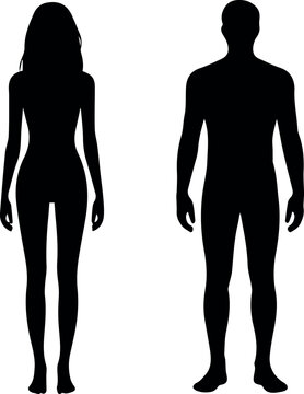 Male and female body silhouettes for medical charts