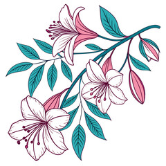 Obraz premium Colored Floral with Detailed Leaves