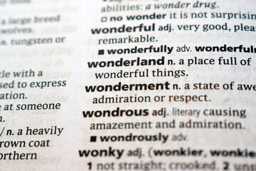 Fototapeta premium English Dictionary Page Close Up With The Word Definition Of - wonderment