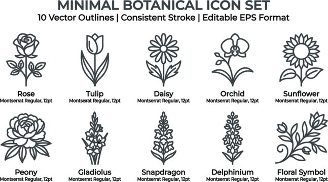 Minimal botanical line icon set with rose tulip sunflower and peony vector