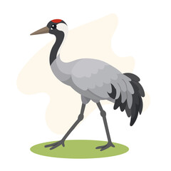 Obraz premium Common crane in minimal flat vector style, common crane isolated with elegant natural shapes for wildlife illustration art