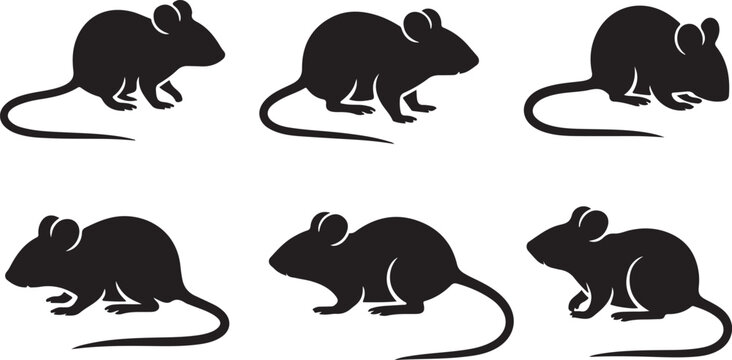 Rat and mice silhouettes. Good use for logo, web icons, symbol, or any design you want
