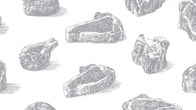 Hand-drawn colored and monochrome modern sketches of pork, beef, lamb ribs, piece of meat, set. 