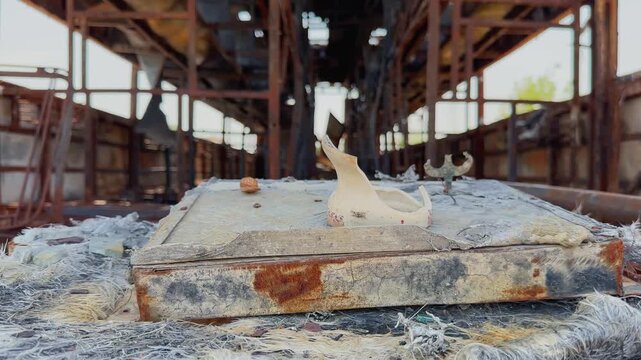Closeup view of a burned idol resting on the dashboard of a fire destroyed sleeper bus with ash covered surfaces, rusted metal frame and charred interior background!