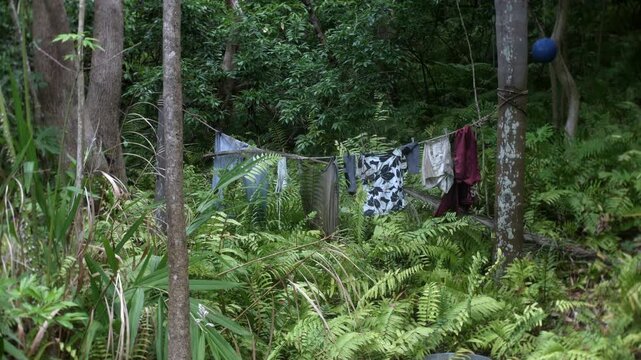 Clothes hanging on a line between trees in a dense forest, garments draping above lush green ferns and undergrowth. Natural daylight filtering through foliage highlighting outdoor laundry in a remote