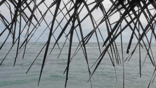 View of rough tropical ocean waves from beneath palm thatch on Mirissa Beach, Sri Lanka, with dark fronds framing a cloudy seascape and moody coastal horizon.