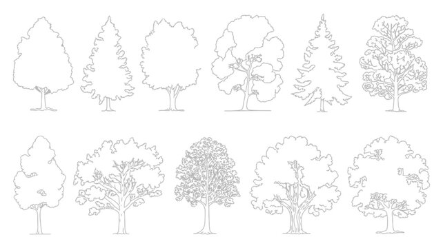 Minimalist Side View Trees Vector Set, Architectural Blueprint Tree Outlines, CAD Landscape Design Elements, Linear Nature Symbols, Editable Monochrome Illustration
