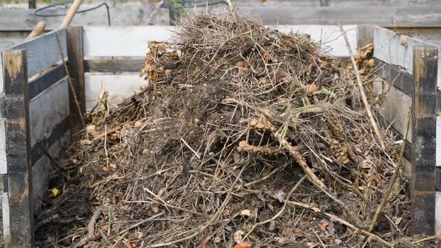 Wooden compost bin filled with dry branches and plant residue in backyard garden