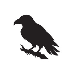 Fototapeta premium Black silhouette raven bird perched on branch isolated background