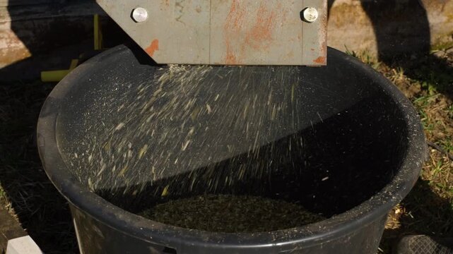 Slow motion close up of wood chips and sawdust shooting from chipper machine nozzle. Processing tree branches into mulch with garden shredder in slow mo