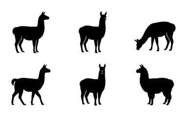 Llama Silhouettes Collection, Vector Icons of South American Camelids, Minimalist Animal Graphics for Design © Nusrat