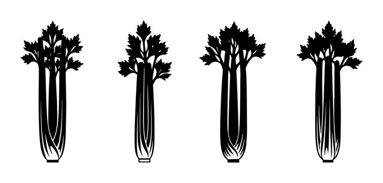 Celery Stalks Vector Icons, Fresh Vegetable Illustrations, Healthy Food Graphics, Black and White Produce Set