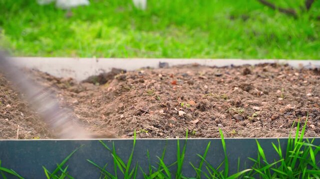 Loosening soil in raised vegetable garden bed with hand hoe close up