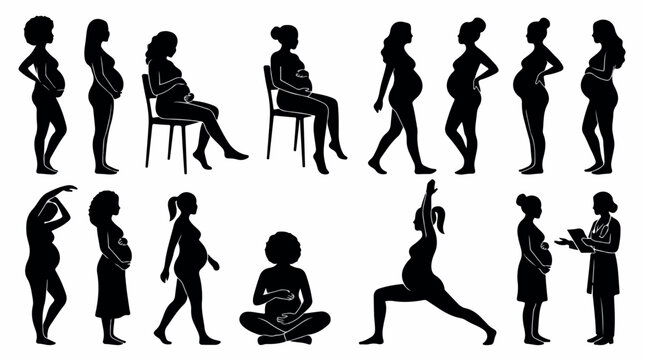 Pregnant woman silhouette collection, 14 pregnancy icons in various poses, maternity health and prenatal yoga vector set for medical infographics