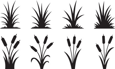 Silhouette of grass with reeds. Set of vector illustrations of black shadows of marsh vegetation for design © Masud