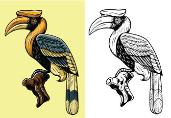 Hand-drawn detailed illustration of a hornbill bird with its distinctive beak, shown in color and traditional line art © harrisaputra