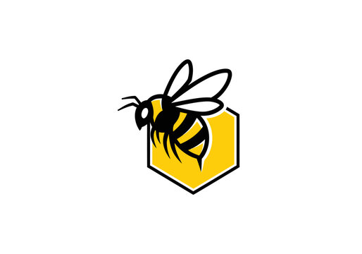 Bee on yellow hexagonal honeycomb cell logo